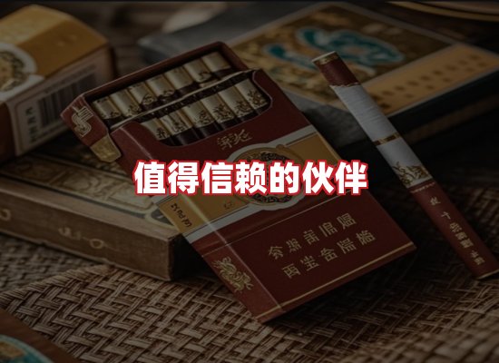 专业团队